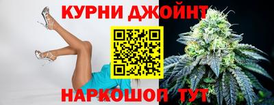 гашик Камышлов