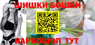 гашик Камышлов