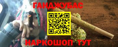 гашик Камышлов
