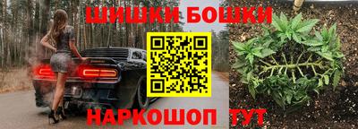 гашик Камышлов