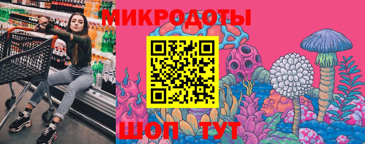Гагарин  Галлюциногенные грибы Psilocybine cubensis  Вход с VPN 